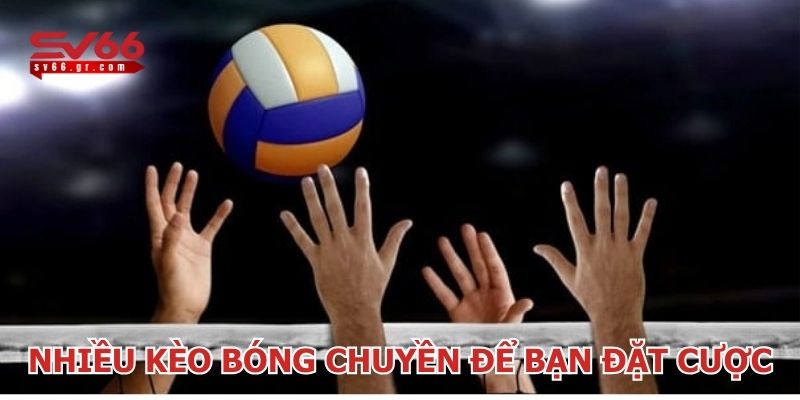 Có nhiều loại kèo để bạn đặt cược bóng chuyền