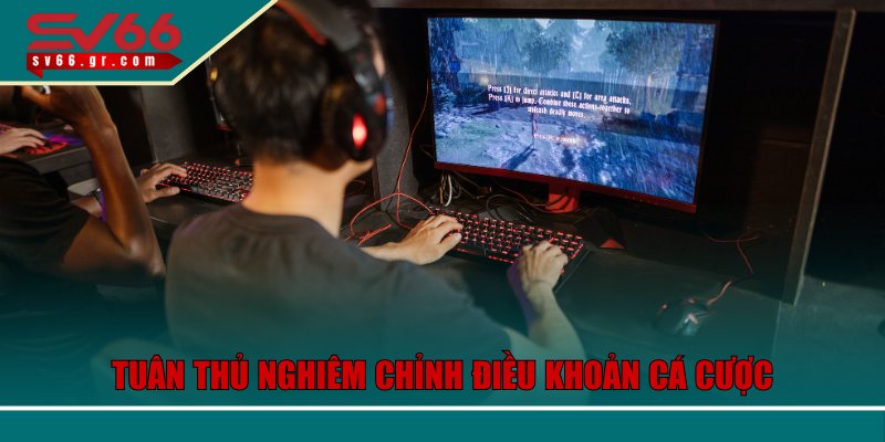 Điều Khoản Sử Dụng SV66 – Lợi Ích, Trách Nhiệm Và Quy Định 2 Tuân thủ nghiêm chỉnh điều khoản cá cược